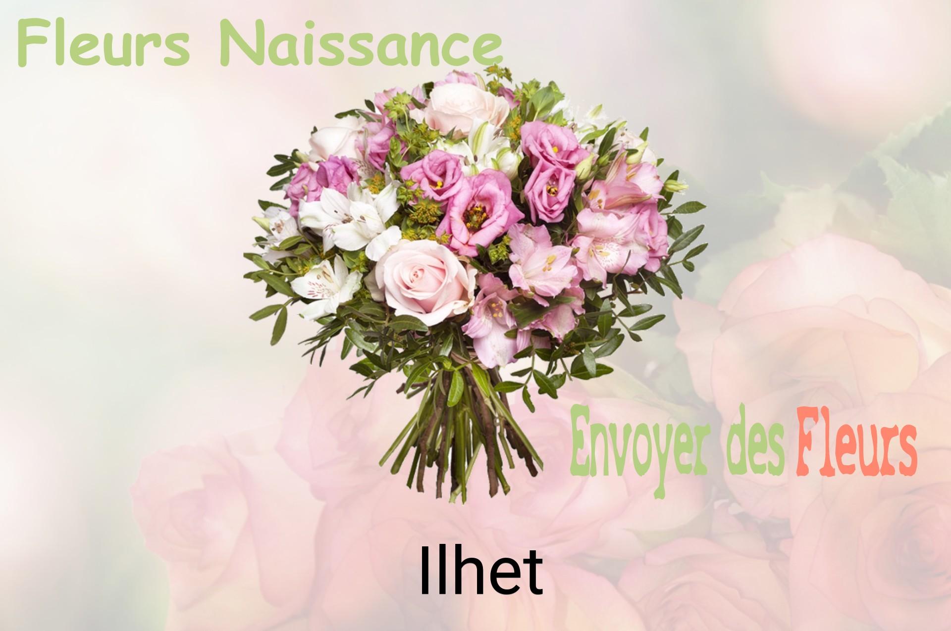 Bouquet de fleurs de naissance livré à Ilhet